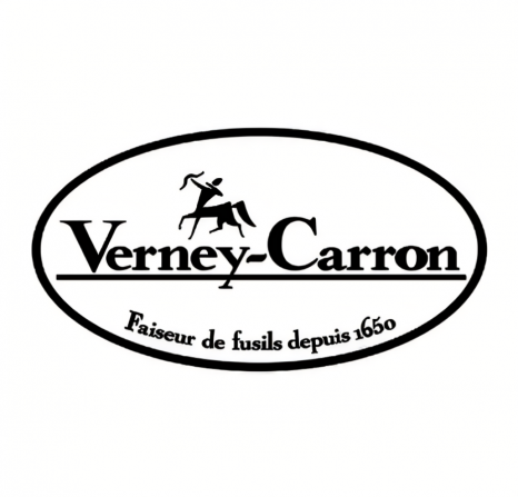 logo verney carron5